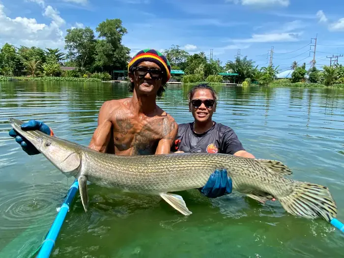Alligator Gar