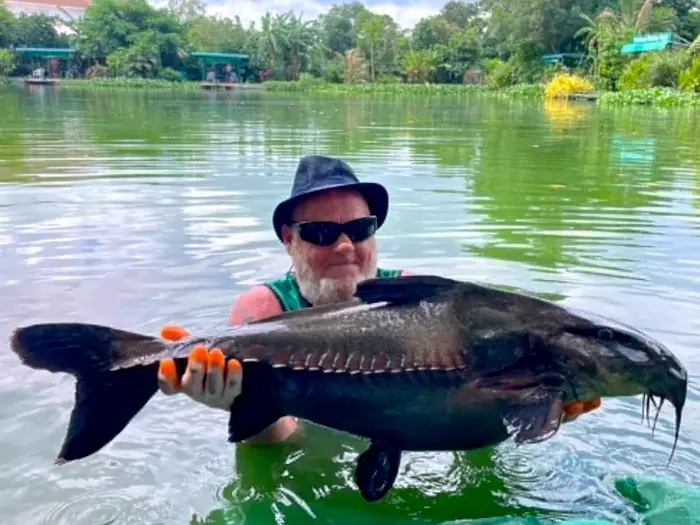 Ripsaw Catfish