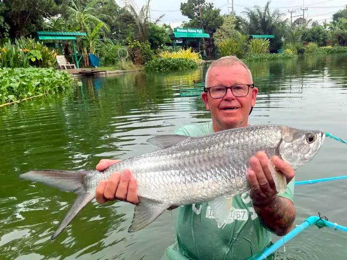 Indo-Pacific Tarpon