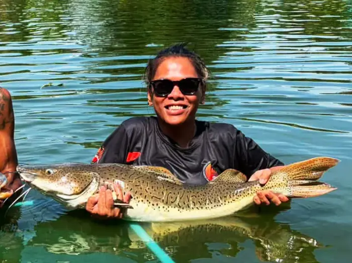Tiger Redtail Catfish