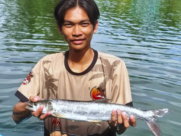 Yellowcheek Carp